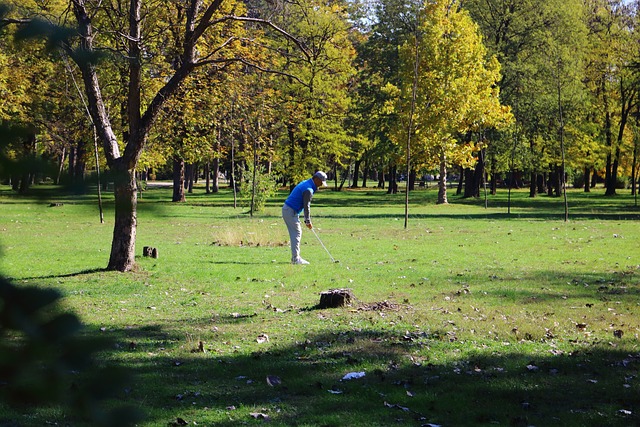 샷을 준비하는 골프선수