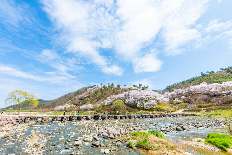 진천 농다리