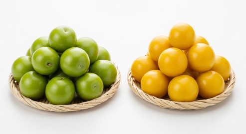 청매실&middot;황매실 비교&amp;#44; 두 가지 매실 담긴 바구니