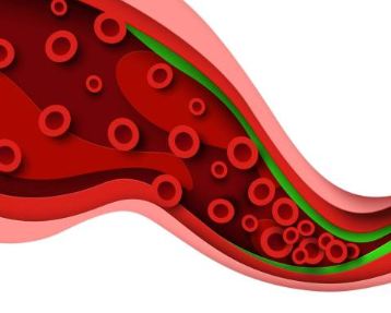 중성지방 낮추는 방법, 중성지방 정상수치