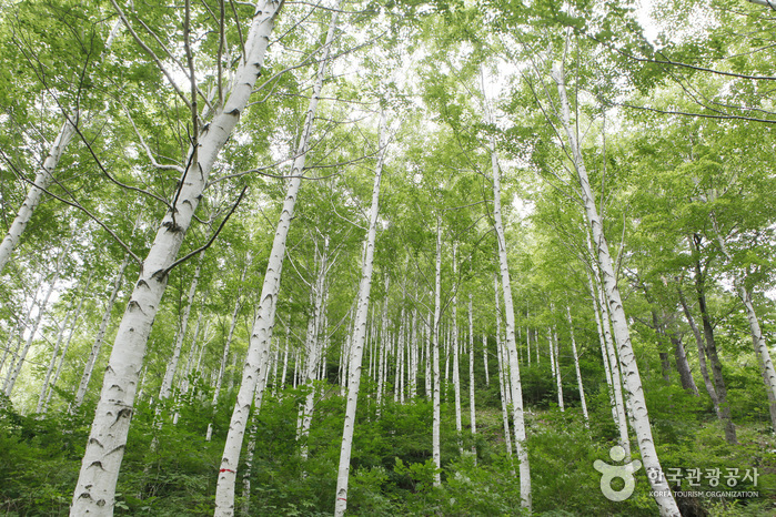 영양 가볼만한곳 베스트10