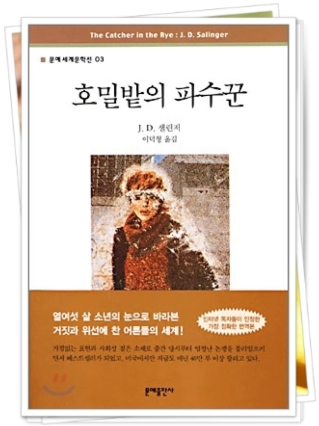 호밀밭의 파수꾼 표지