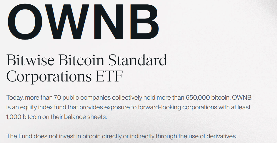 출처 : 비트와이즈 홈페이지