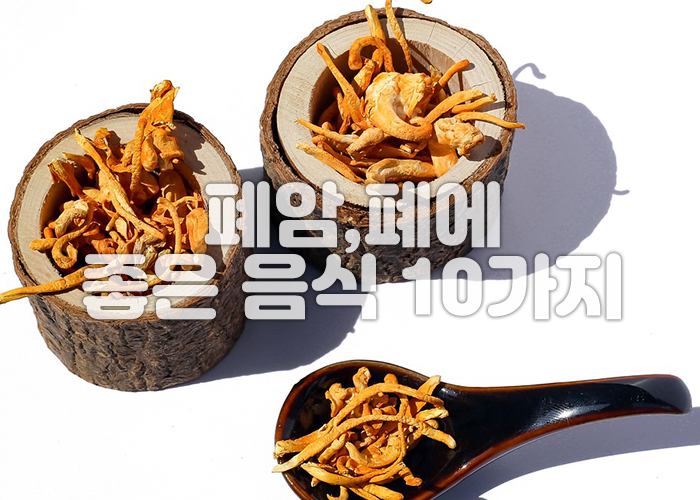 동충하초 이미지