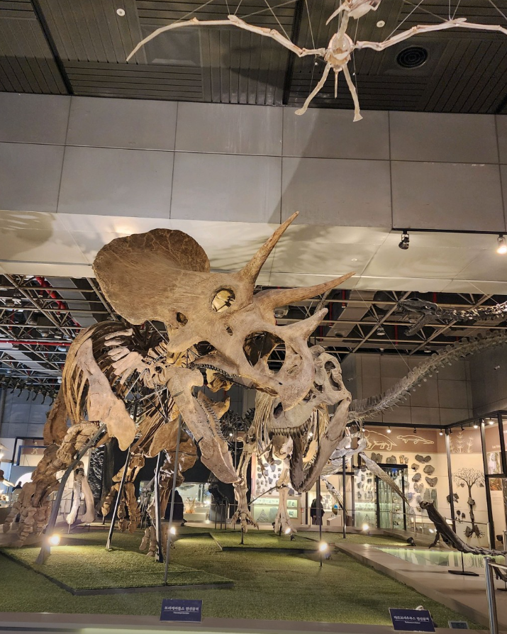 대전 가볼만한곳 베스트10