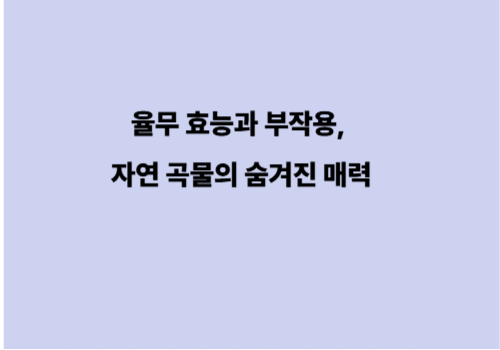 율무 효능과 부작용, 자연 곡물의 숨겨진 매력