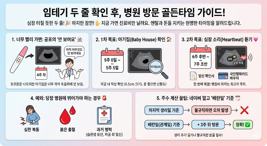 임신테스터기 두 줄