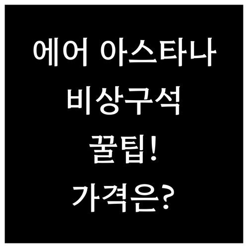 에어 아스타나 비상구석 지정 방법과 ..