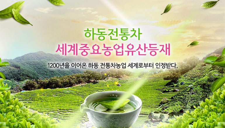 하동 야생차 문화축제 관련사진