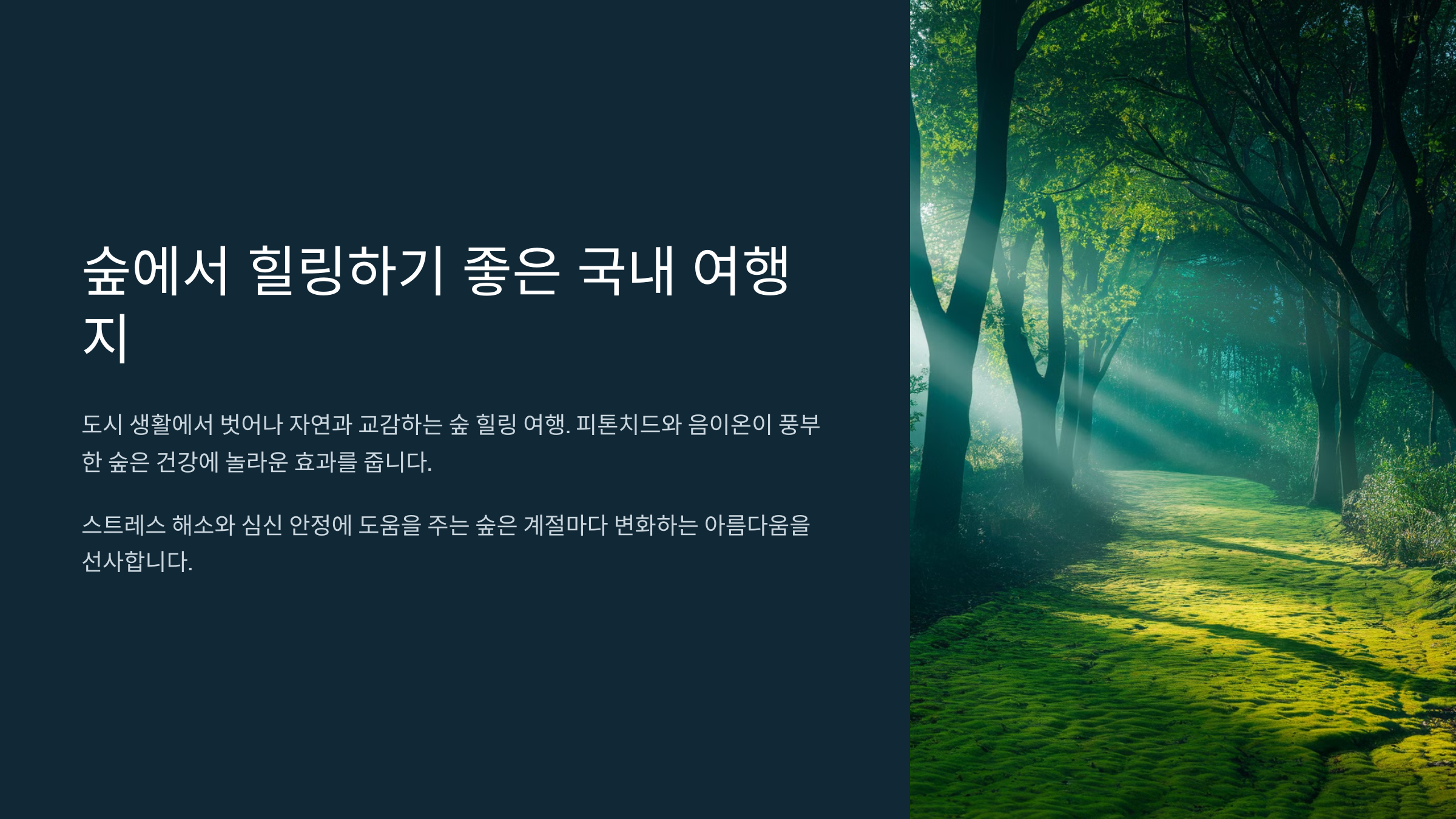 숲에서 힐링하기 좋은 국내 여행지