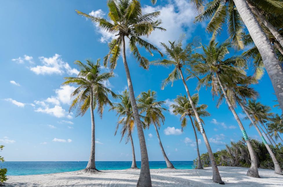 베트남 다낭 여행 준비물