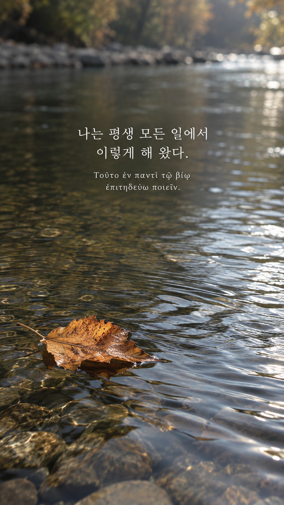 디오게네스 명언 20 나는 평생 모든 일에서 이렇게 해 왔다. 한글과 그리스어 원문이 담긴 세로 사진
