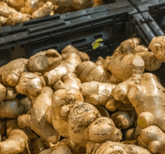 편도결석 빼는 법 - 편도에 좋은 음식 생강