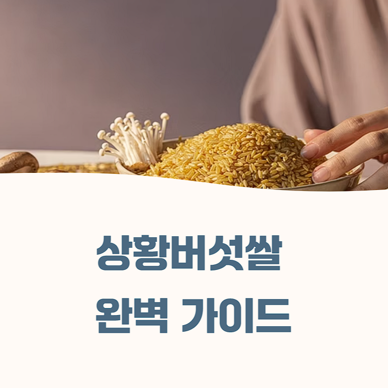상황버섯 쌀 효능 가격 밥 짓는 법