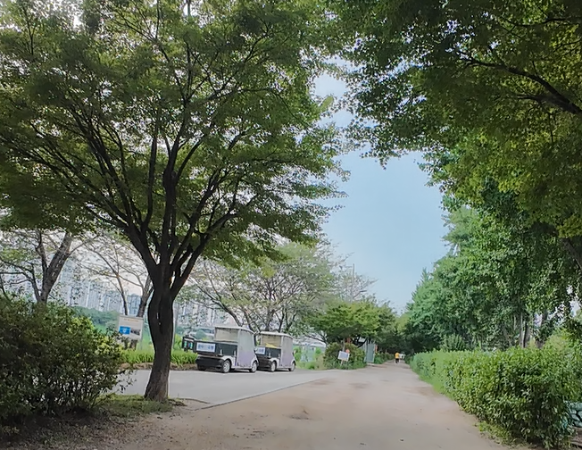 Alt 속성 문제 해결 설명 이미지