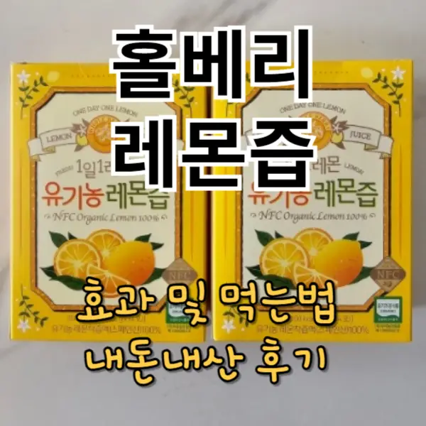 홀베리 레몬즙 내돈내산 후기 및 효과, 먹는법