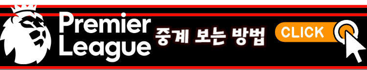 23/24 프리미어리그 손흥민 토트넘 경기일정 9라운드 정보 & EPL 현재 순위