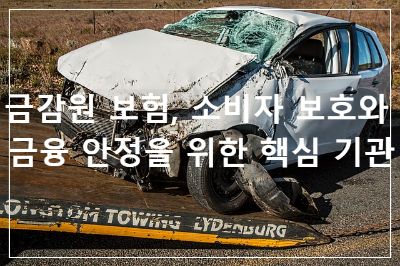 금감원보험