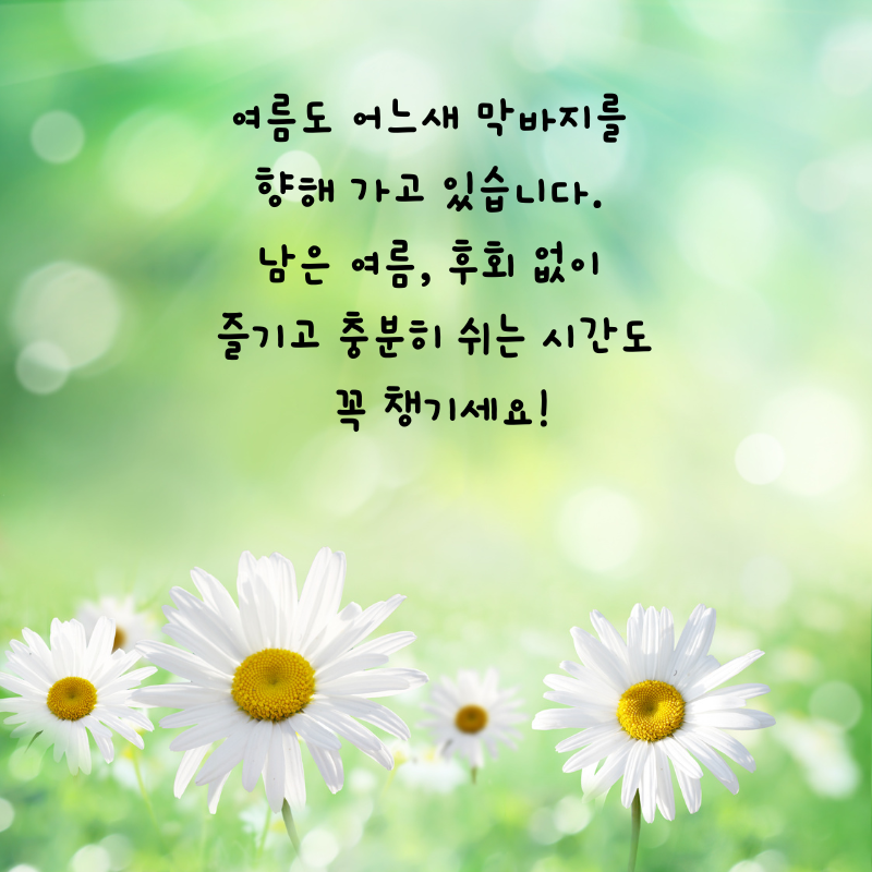 8월 인사말 카톡 문자 메세지 안부 이미지 모음집