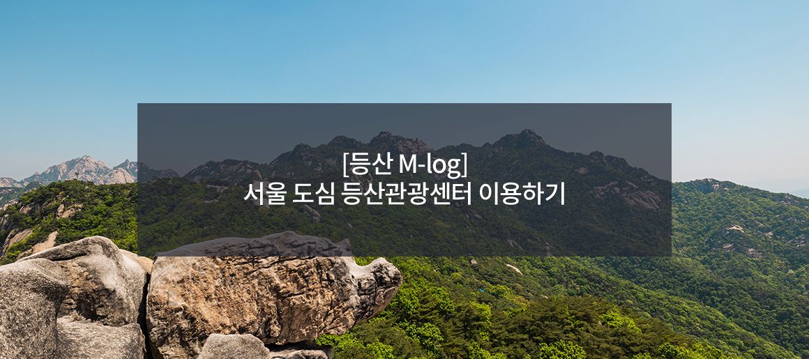 서울 등산관광센터 예약하기