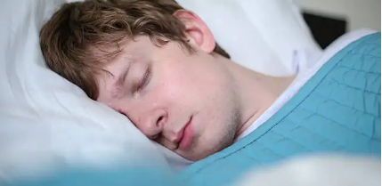 강아지 수면 주기