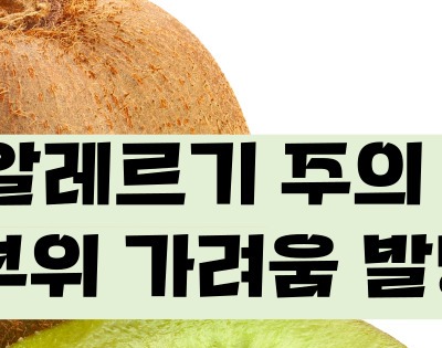키위 효능 부작용