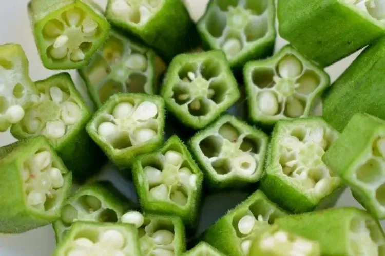 오크라 효능 재배법 손질 수확 요리 보관까지 한눈에 보기_6