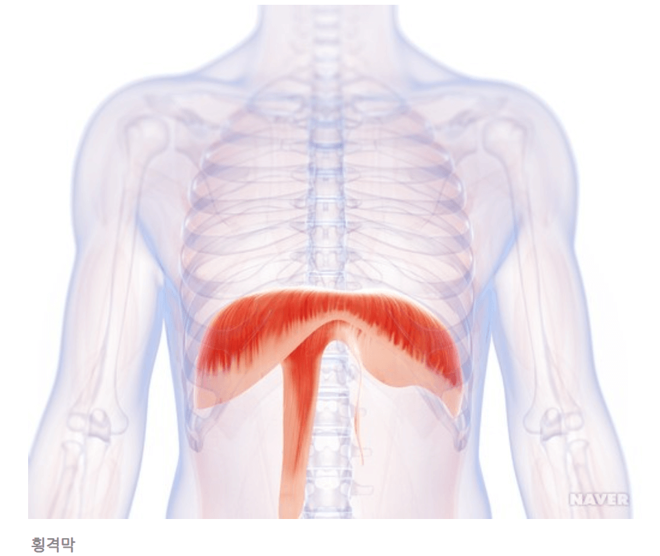 딸꾹질멈추는방법