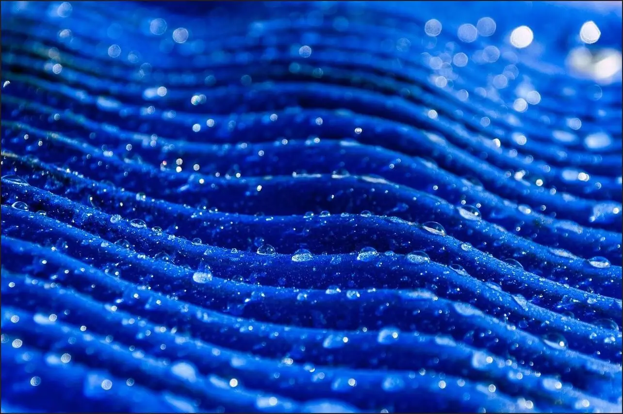 가족관계증명서 상세