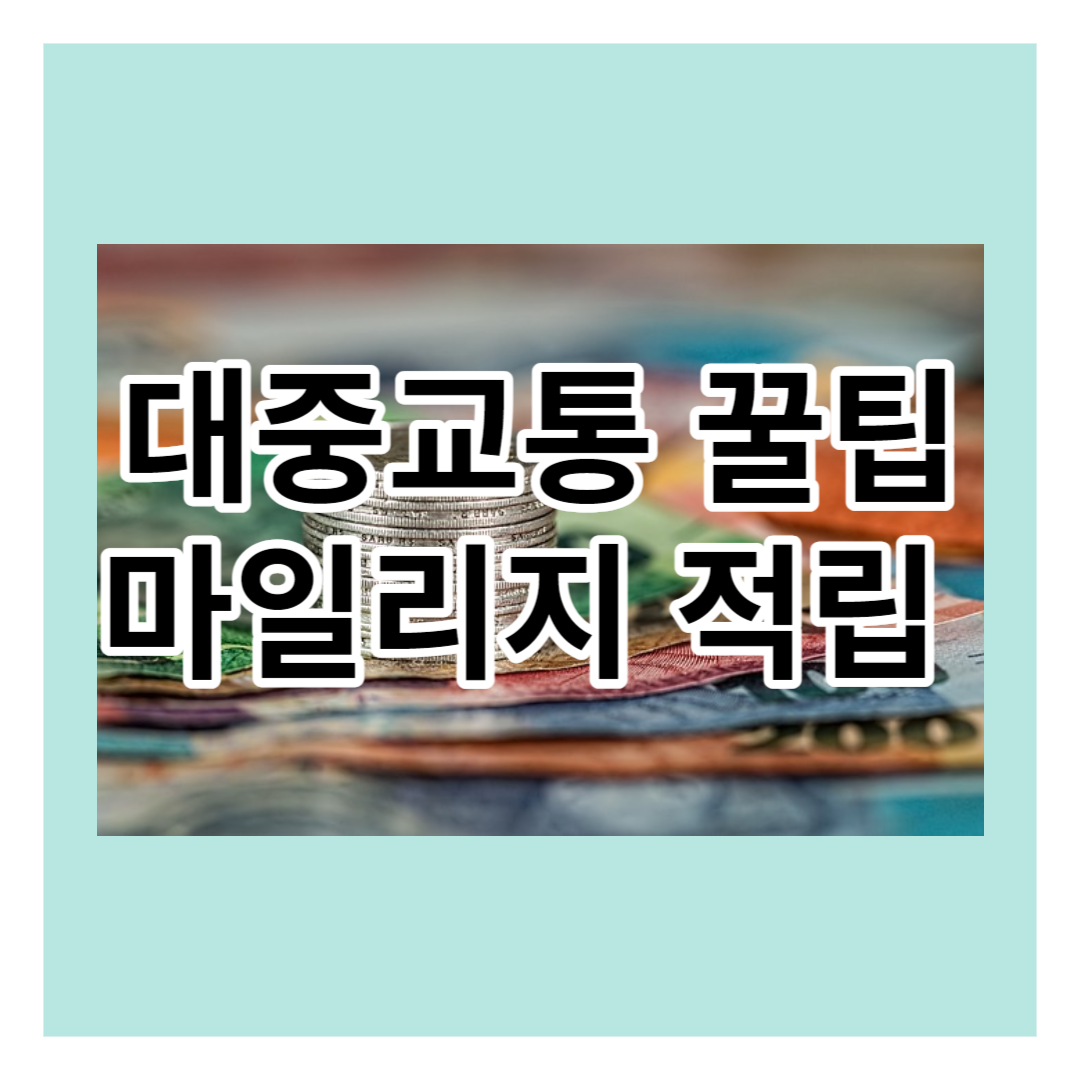 대중교통 꿀팁 마일리지 적립