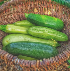 애호박 효능과 부작용 영양성분 고르는법 칼로리
