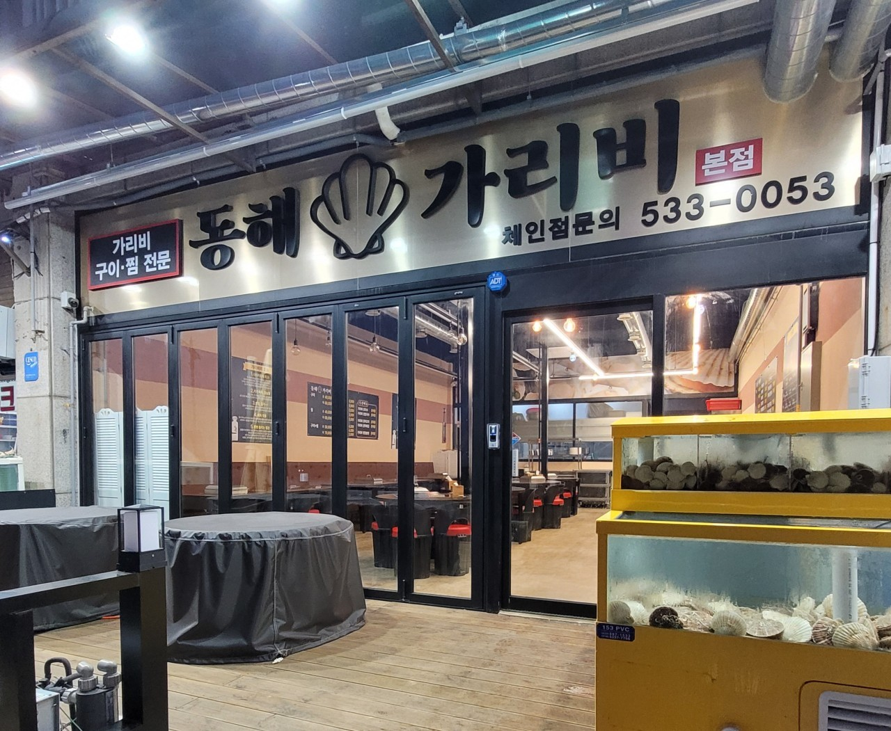 묵호항 동해가리비