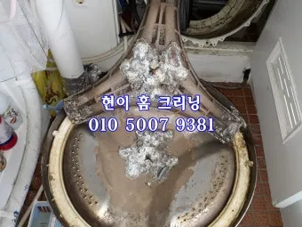 세탁기 냄새 제거 통풍 문열어두기 세제양 고무패킹 관리_3