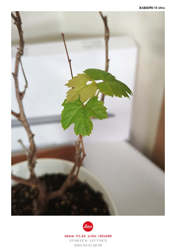 leica-렌즈-카메라