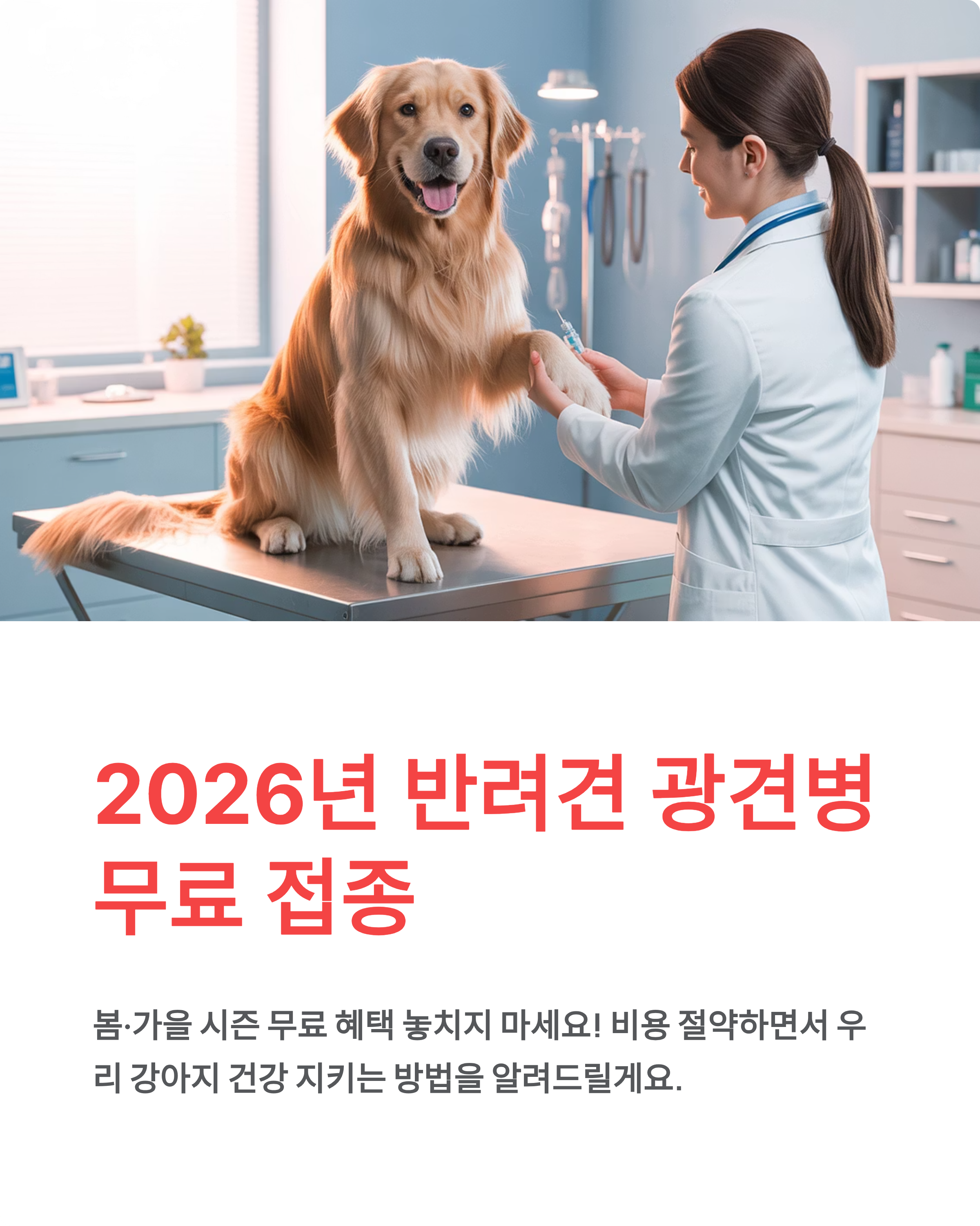 광견병 예방접종 무료 2026일정 총정리! 반려견 무료 접종 신청 방법