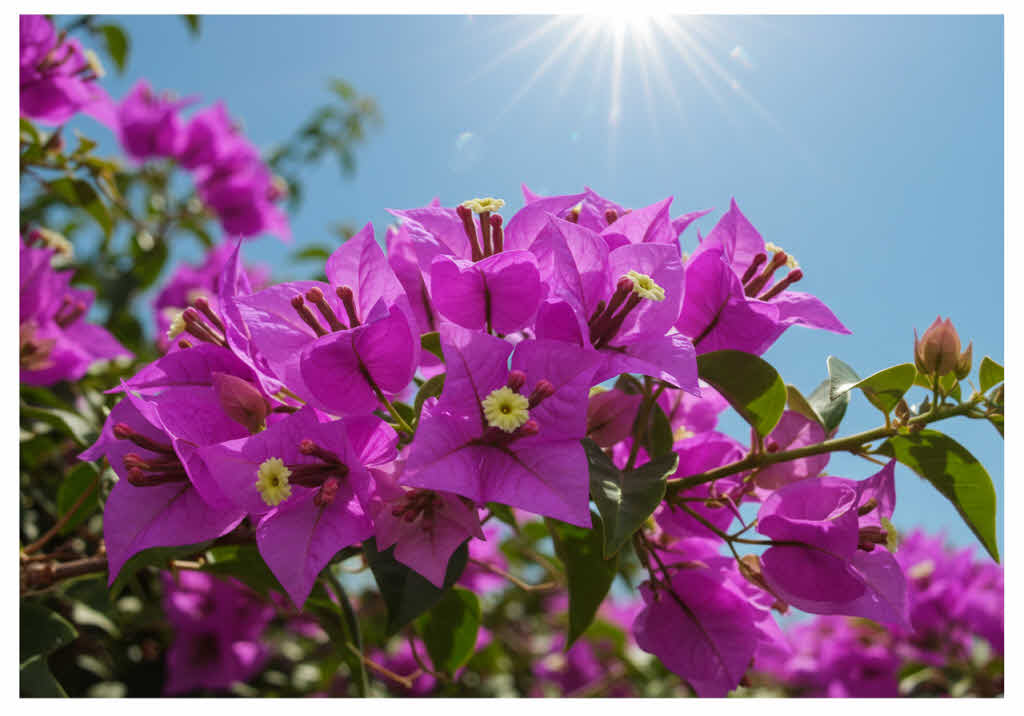 기초연금과 노후준비: 어떻게 해야할까?