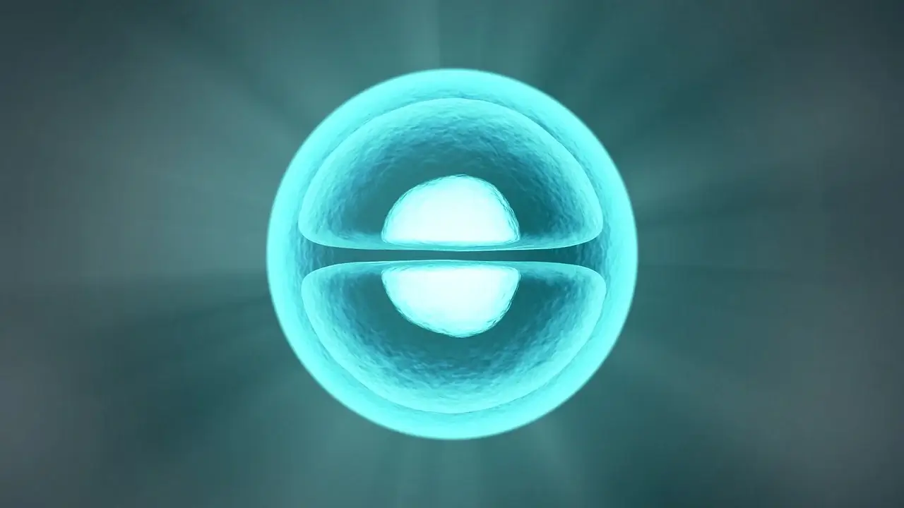 셀트리온 골든크로스 주가 분석 전망