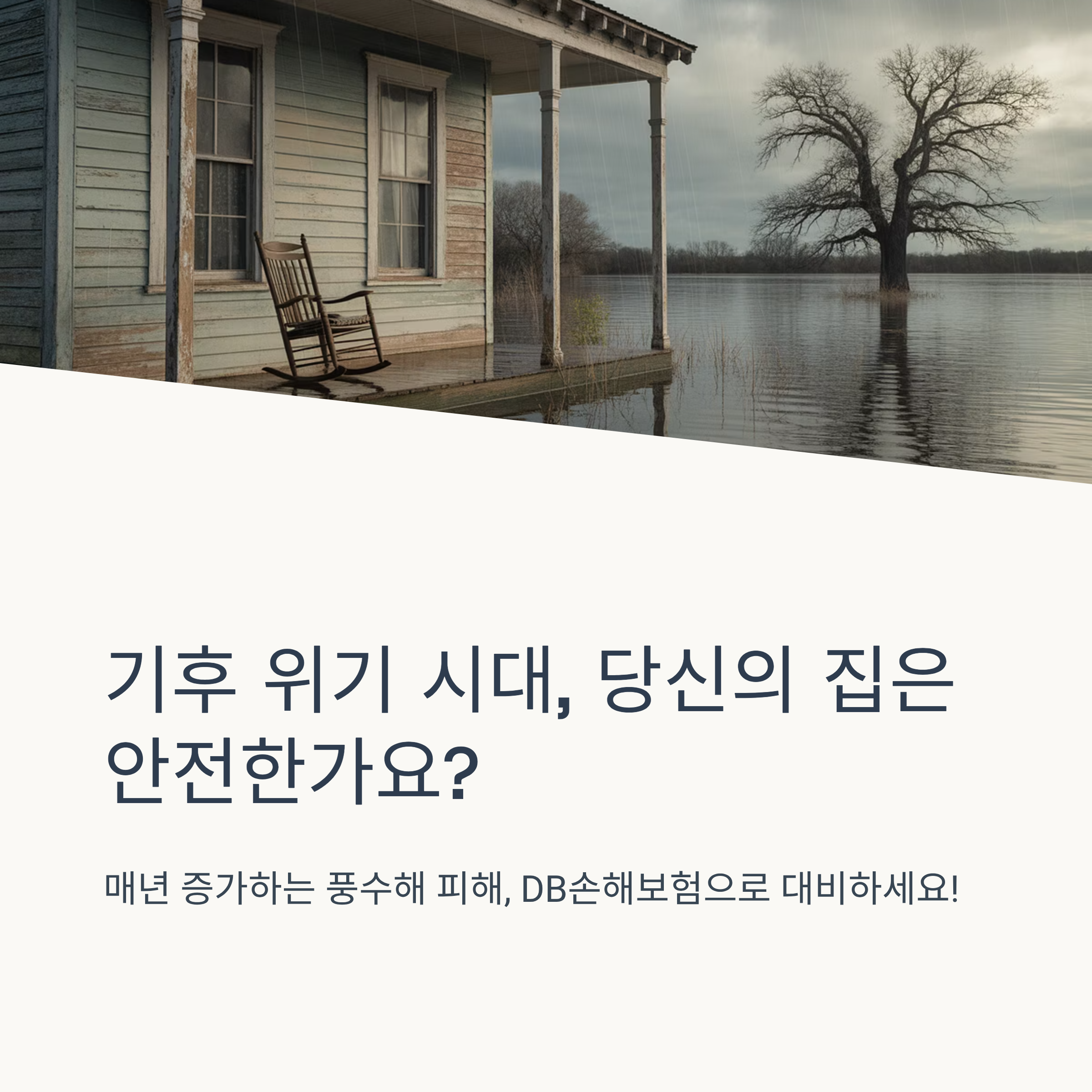 DB 손해보험 풍수해 보험 비교