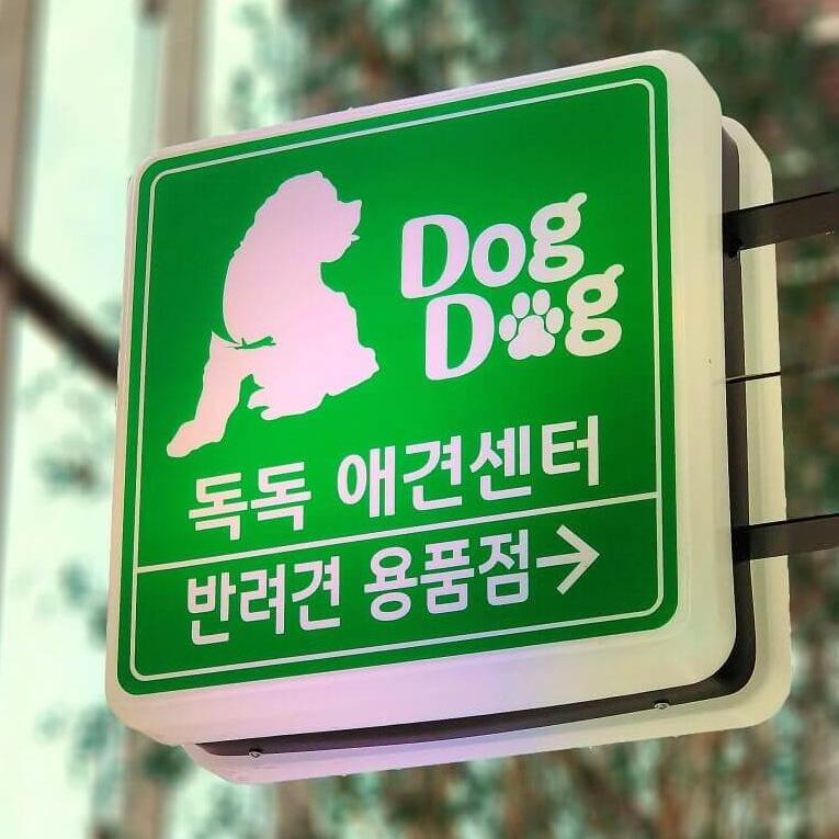 김포공항 애견센터 독독