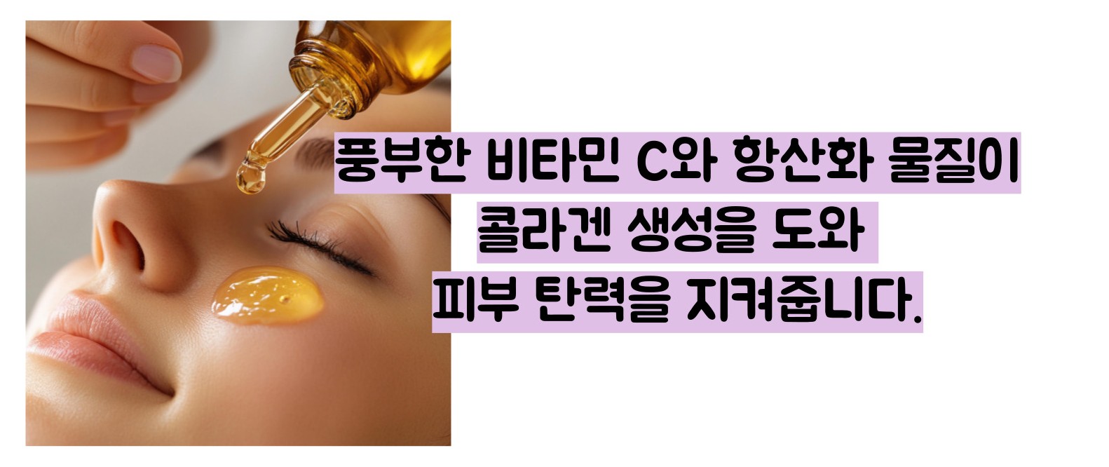 블루베리 효능