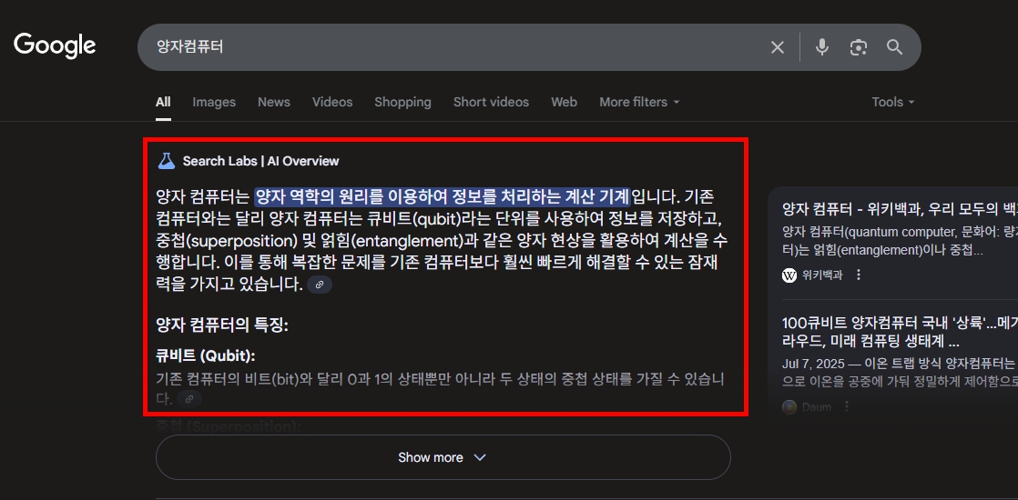 구글 AI 개요 서비스 시작 이후 웹 사이트 블로그 트래픽 대폭 감소