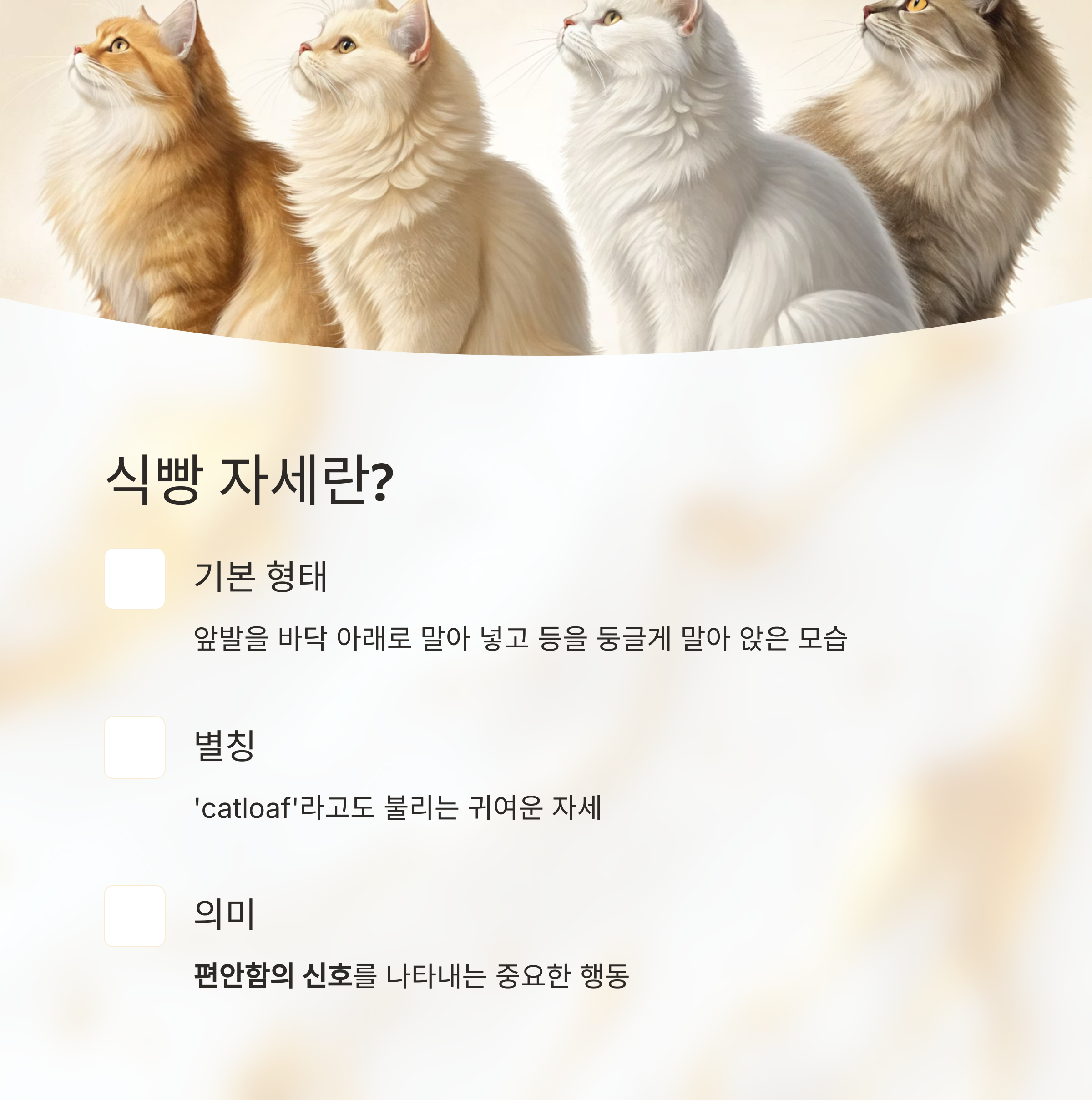 식빵 자세란?