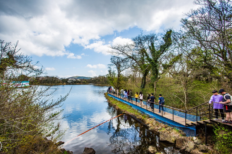 제주 에코랜드 테마파크