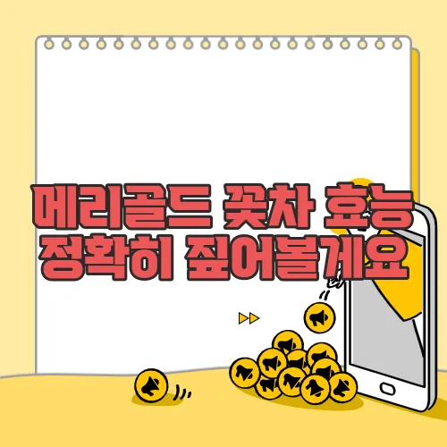 메리골드 꽃차 효능 정확히 짚어볼게요