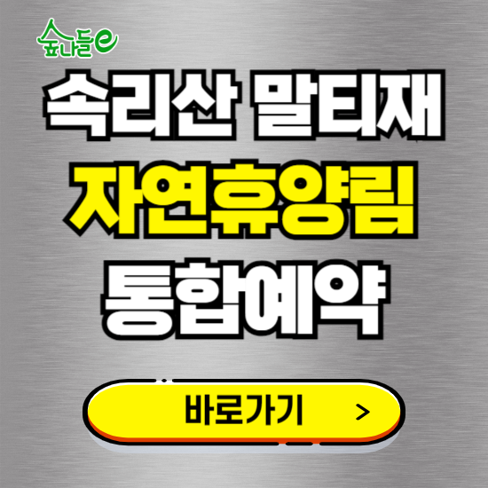 속리산 말티재 자연휴양림 온라인 예약하기 ❘ 숙소 야영장 캠핑장 실시간 예약 현황 보기 ❘ 충북 보은군