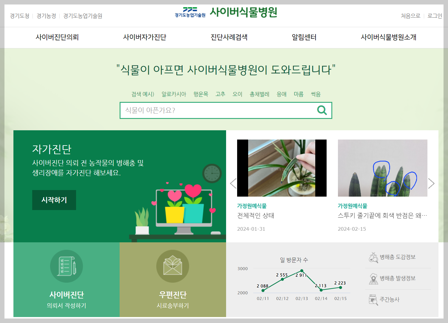 사이버식물병원