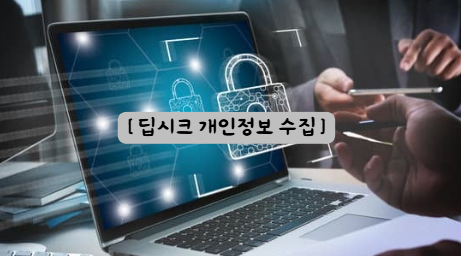 딥시크 개인보안