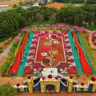 태안 세계 튤립 꽃 박람회