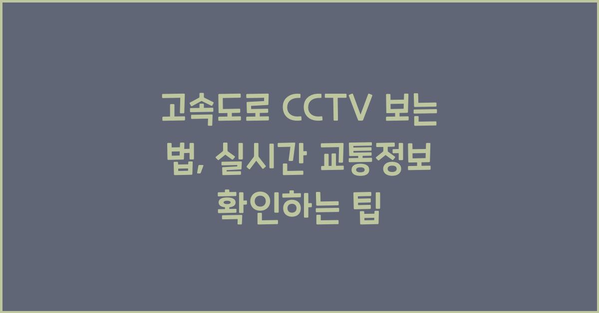 고속도로 cctv 보는 법