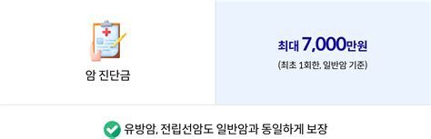 암 생활비 보험